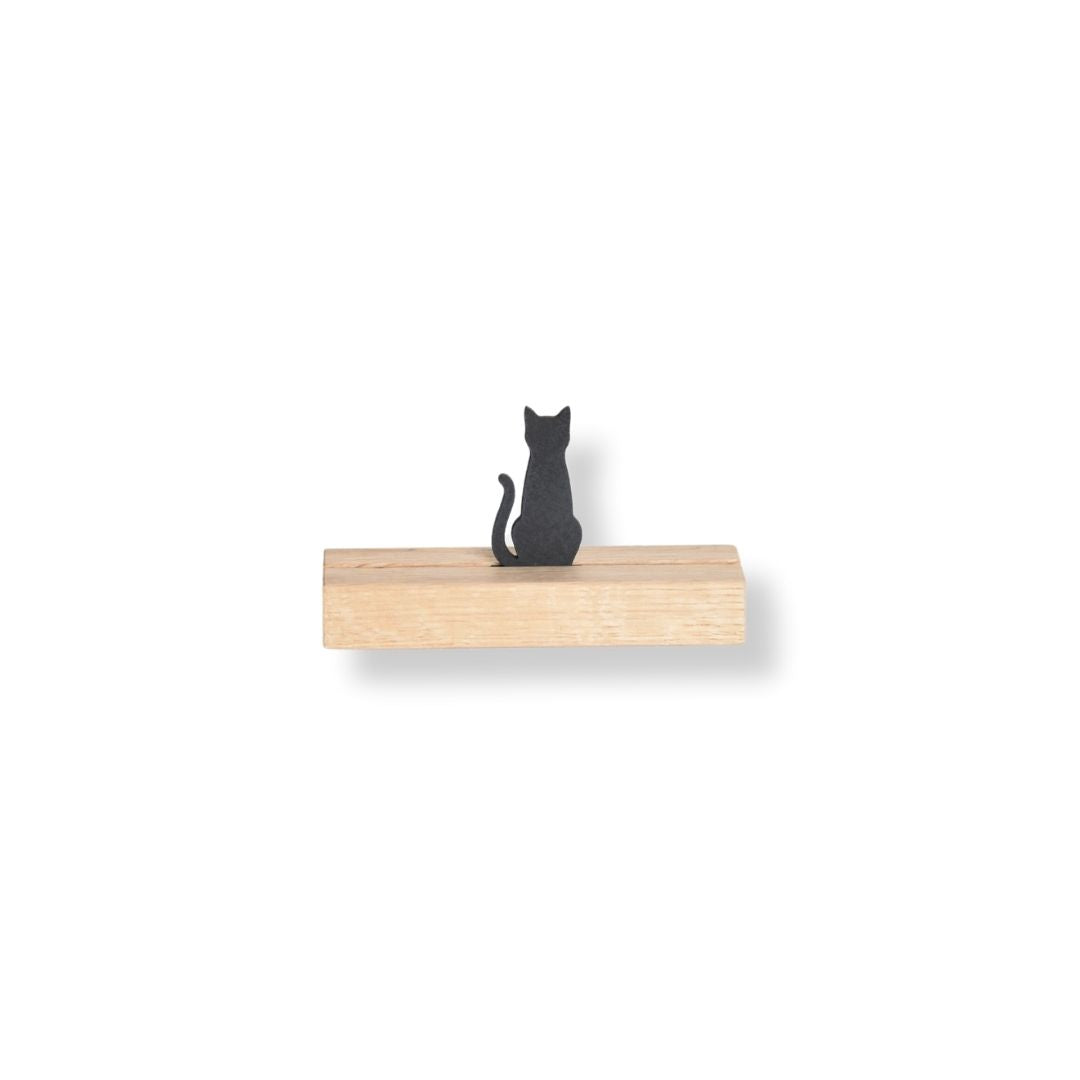 Buddy - Kat