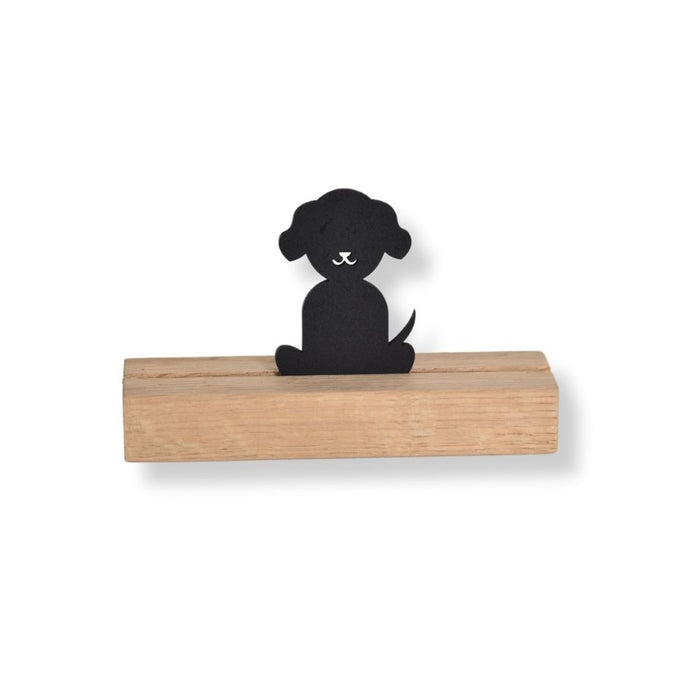 Buddy- Hond