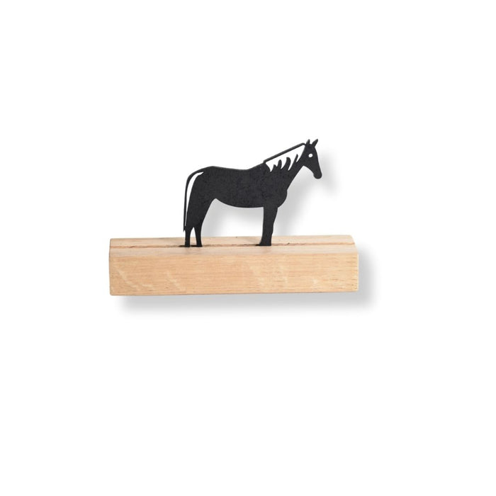 Buddy- Paard